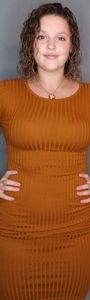 Skin Tight Burnt Orange Dress